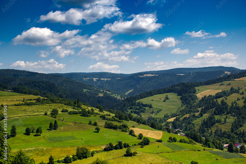 View of Beskid Mountains in summer near village Lomnica-Zdroj