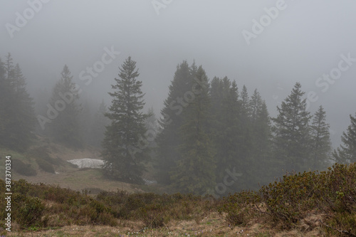 Nebel und Regen am Riedberger Horn