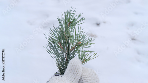 Hello winter concept
