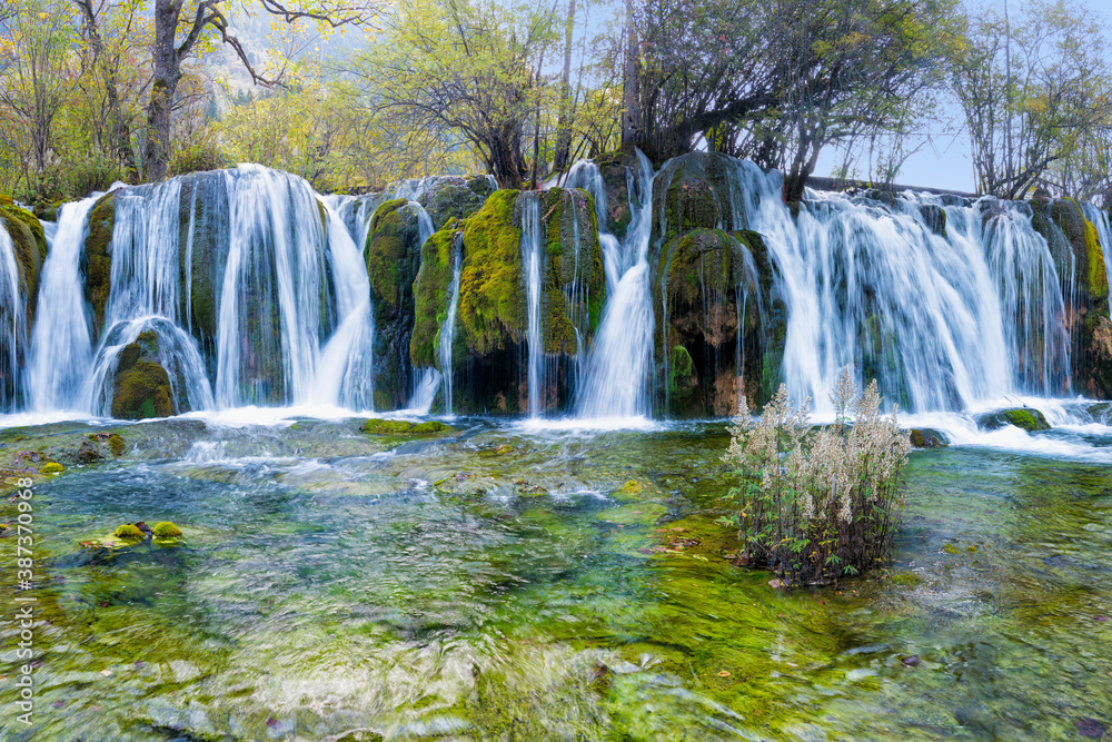 Fototapeta premium Arrow Bamboo Lake Waterfalls, Jiuzhaigou National Park, Sichuan Province, China, Unesco World Heritage Site