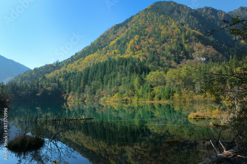 Arrow Bamboo Lake  Reflections in the water  Jiuzhaigou National Park  Sichuan Province  China  Unesco World Heritage Site