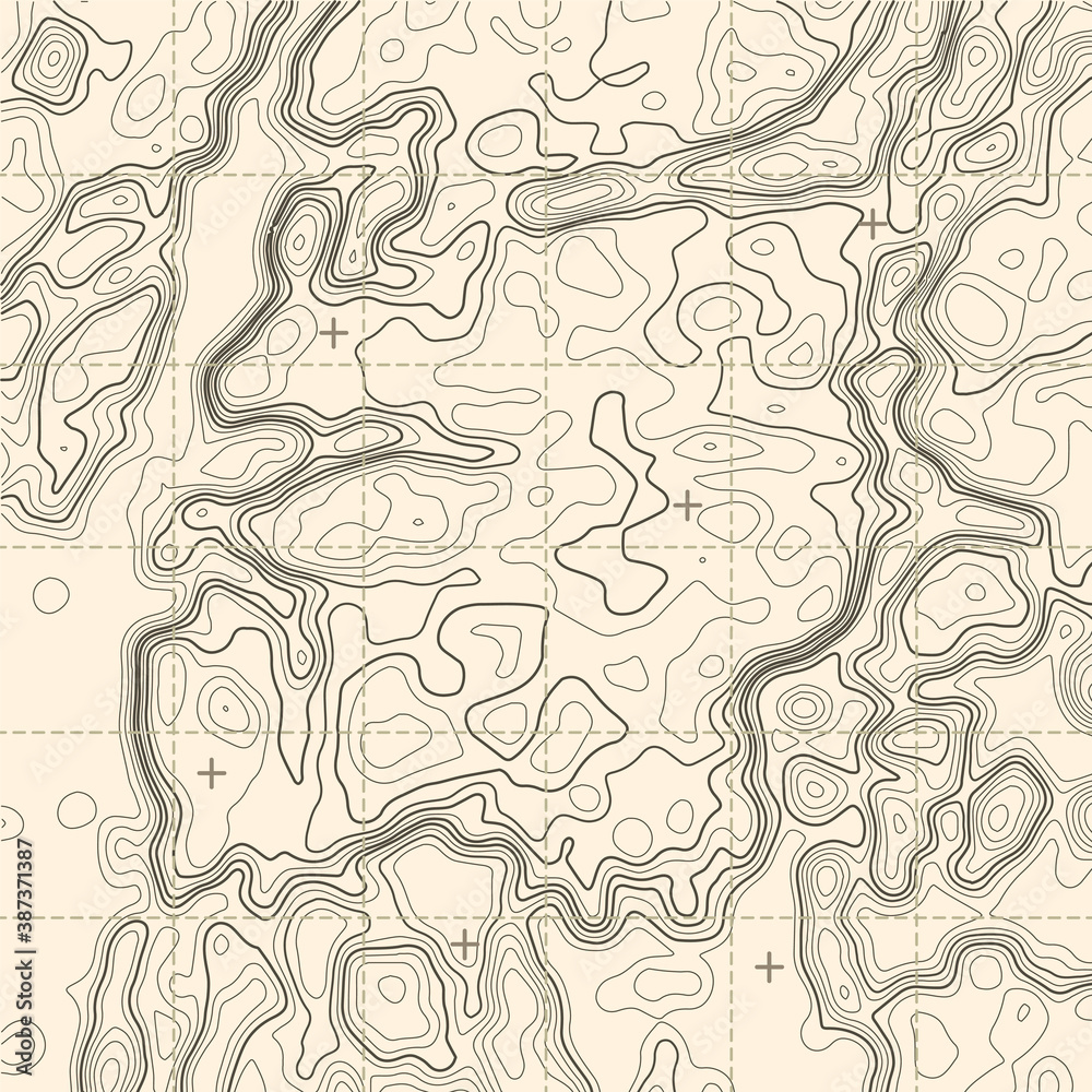 Topographic contour map with grid. Vector relief map.