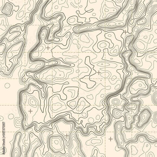 Topographic contour map with grid. Vector relief map. © ihor