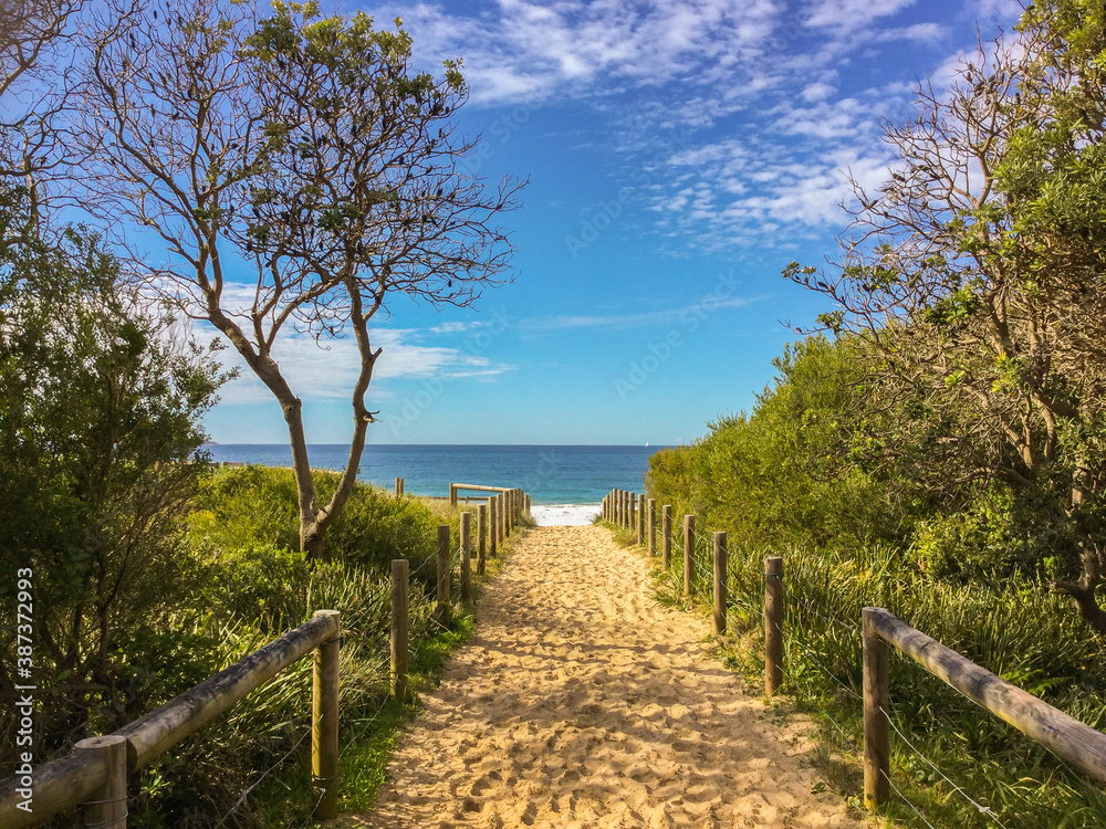 Path to the beach Path to the beach