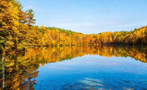 Colorful fall foliage reflected in a small pond