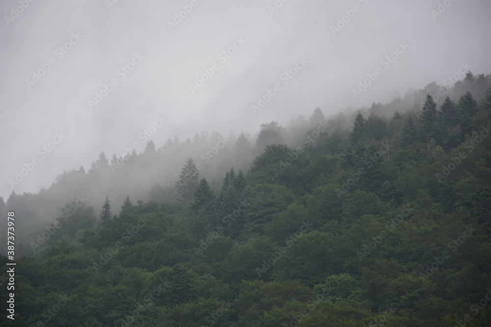 mist in the mountains