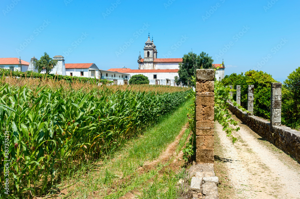 St. Martin of Tibaes Monastery, Corn field, Braga, Minho, Portugal