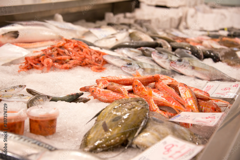 fresh fish stall at the city market fresh fish stall at the city market