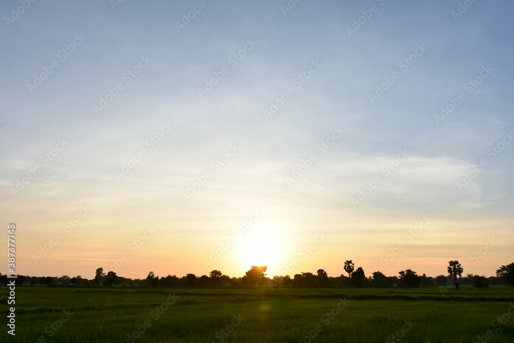 sunrise over the field