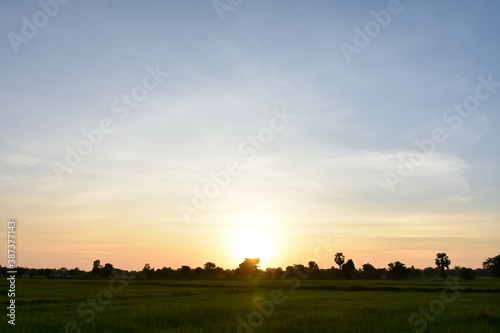 sunrise over the field