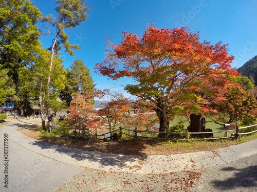 日本の秋の風景　紅葉シーズン