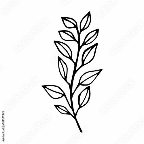 twig single vector illustration .contour handmade image