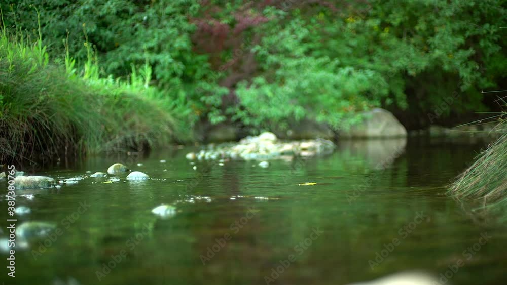 sliding into a creek day light sliding into a creek day light