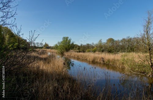 Natuurpark De Broekpolder bij Vlaardingen-Nederland