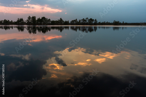 swamp lake with grey clouds and green moss © EriksZ