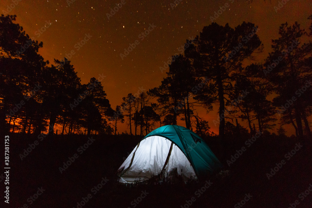 Tents near forest lake in day and night time