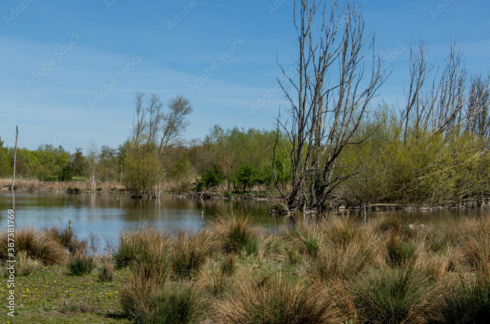Natuurpark De Broekpolder bij Vlaardingen-Nederland Natuurpark De Broekpolder bij Vlaardingen-Nederland