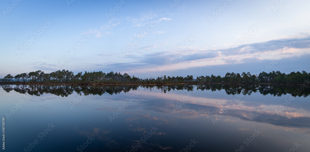 Morning in the swamp lake