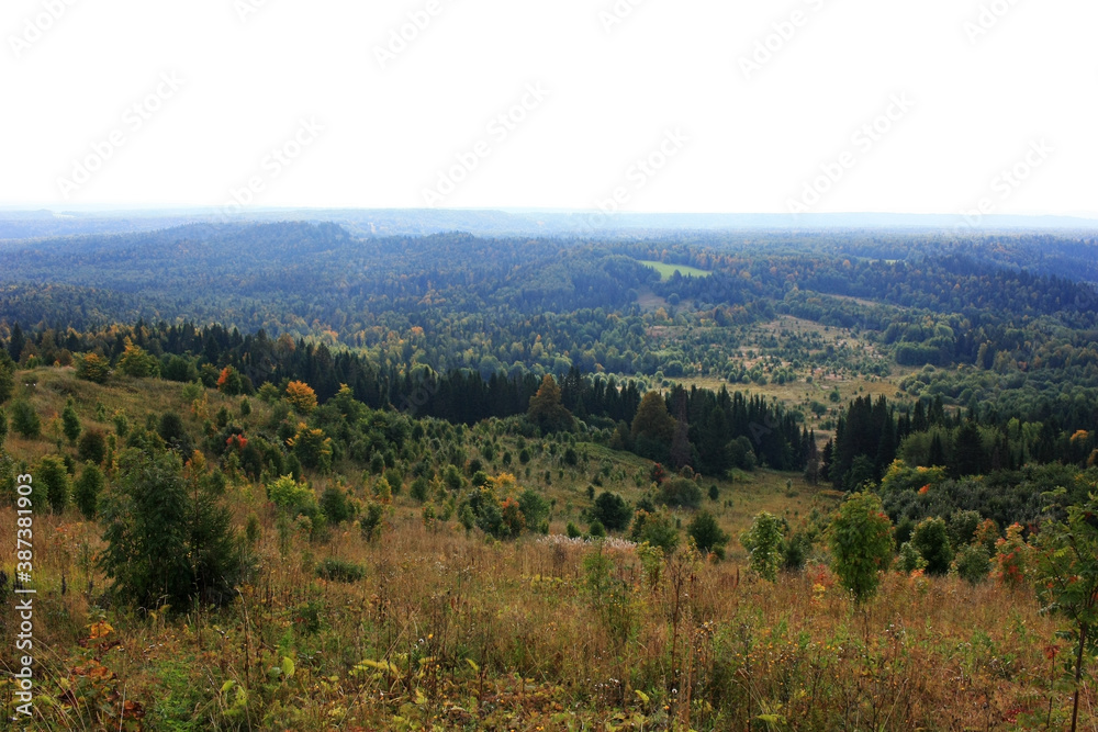 Obraz premium Green Siberian taiga stretches to the horizon