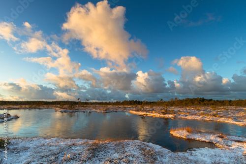 Swamp lake with islands in sunny winter day in sunrise