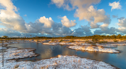 Swamp lake with islands in sunny winter day in sunrise