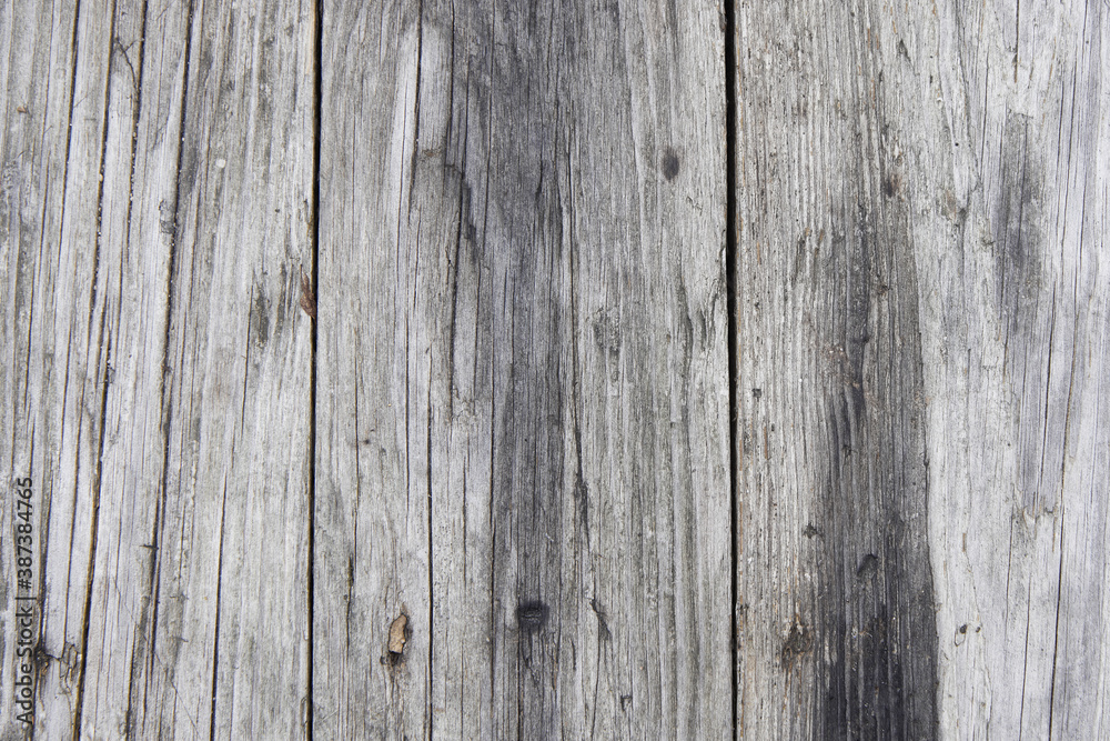 Texture of an old tree. Background of natural wood surface erosion. Old wooden wall Texture of an old tree. Background of natural wood surface erosion. Old wooden wall