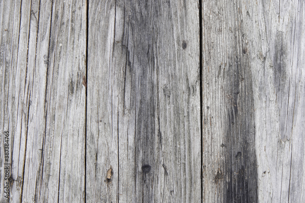 Texture of an old tree. Background of natural wood surface erosion. Old wooden wall