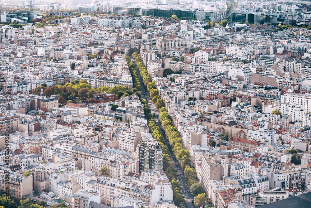 Paris aerial cityscape panorama with trees in the street and old architecture 