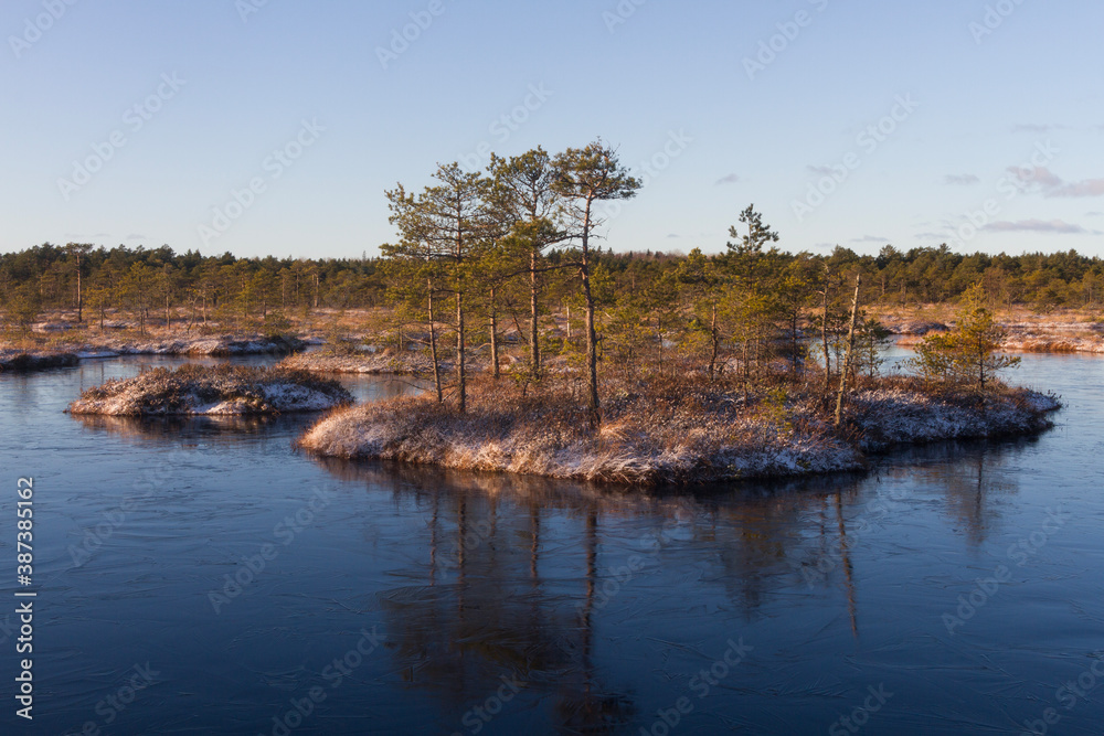 Swamp lake with islands in sunny winter day in sunrise Swamp lake with islands in sunny winter day in sunrise