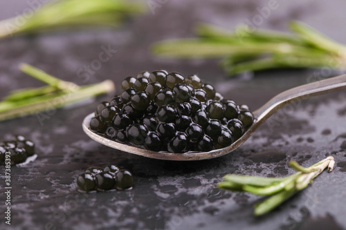 Black sturgeon caviar in a spoon