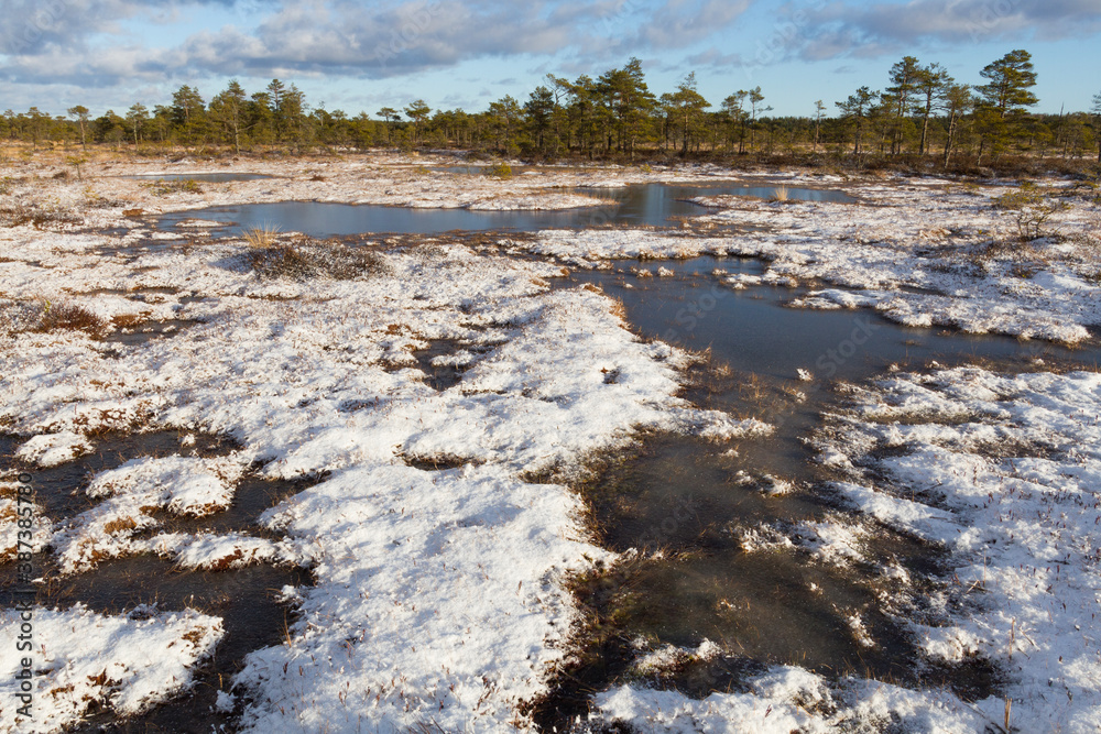 Swamp lake with islands in sunny winter day in sunrise