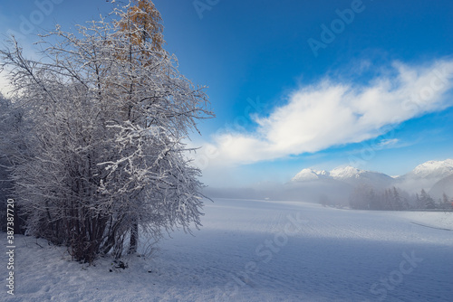 Wallpaper Mural Austria winter snow landscape with blue and cloudy sky Torontodigital.ca