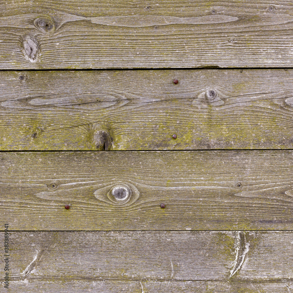The old wood texture with natural patterns
