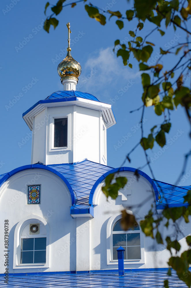 Obraz premium Christian Orthodox Church with christian cross in Russia. White stone walls and blue domes of the Cathedral against a clear sky and green leaves.