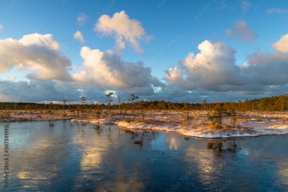 Swamp lake with islands in sunny winter day in sunrise