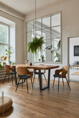 Fototapeta Naklejka Na Ścianę i Meble -  Stylish and cozy interior of dining room with design craft wooden table, chairs, plants, velvet sofa, poster map and elegant accessories in modern home decor. Template.