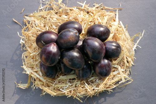 Ripe plums on straw, like an Easter nest