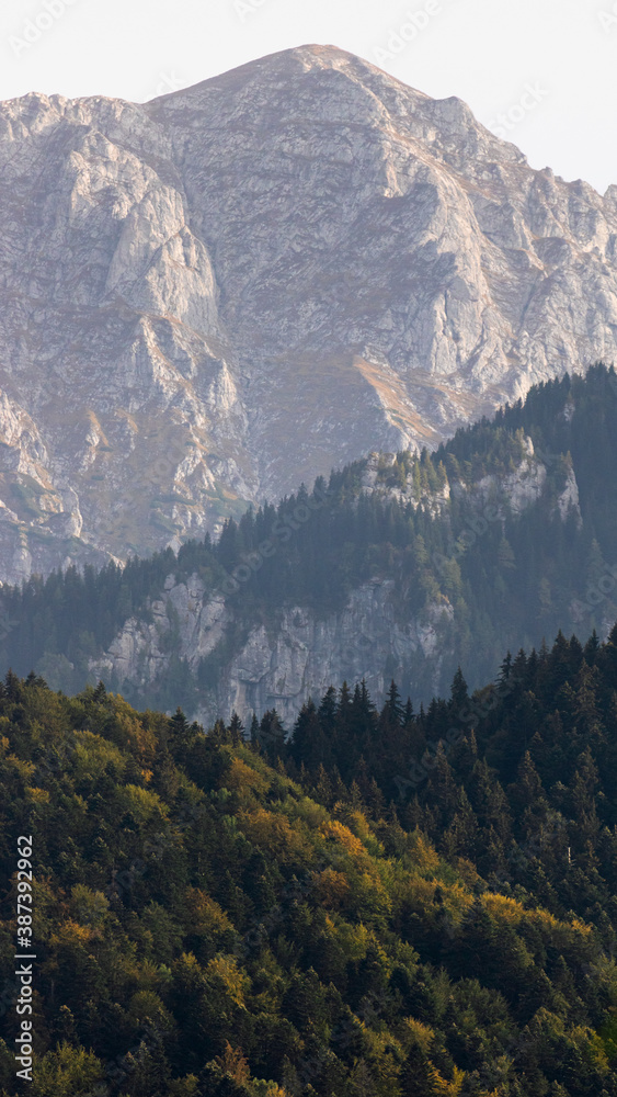 Fototapeta premium landscape in the mountains