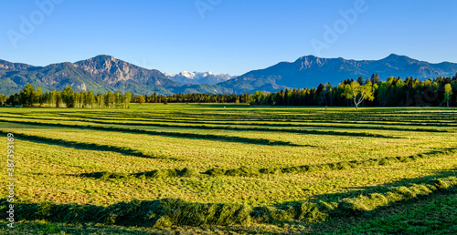 landscape near benediktbeuern © fottoo