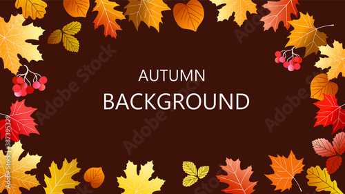 Vector abstract horizontal background with autumn elements  shapes  plants. Background for promo poster and frame leaflet or web banner