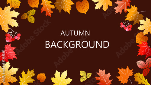 Vector abstract horizontal background with autumn elements, shapes, plants. Background for promo poster and frame leaflet or web banner