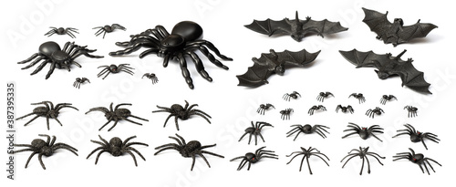 Halloween decoration, spiders and bats isolated on the white background