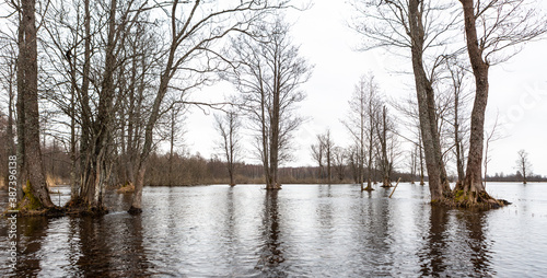 Flooded soomaa bog in spring, fifth season © EriksZ