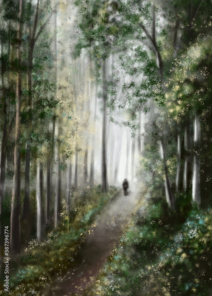 Obraz premium path in the woods