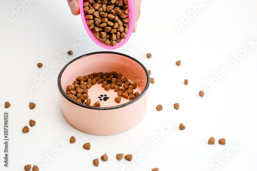 Close - up in hand dry cat and dog food is placed in a pink bowl.Pet food on a white background.Healthy and delicious diet for the animal