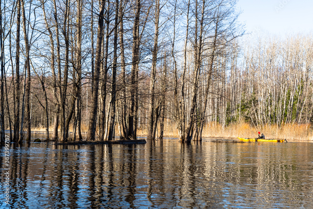 Fototapeta premium Flooded soomaa bog in spring, fifth season