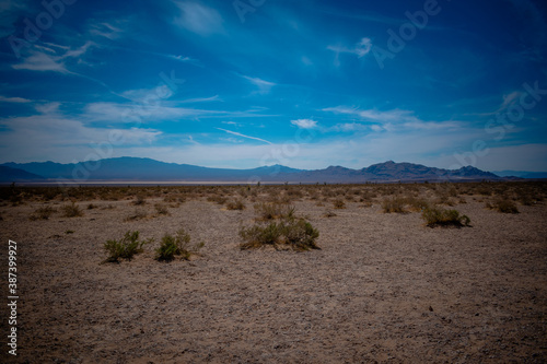Desert landscape in Las Vegas
