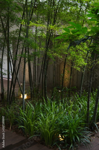bamboos indoor