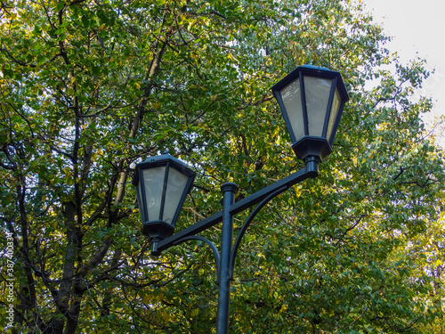 A street lamp against a background of green trees.