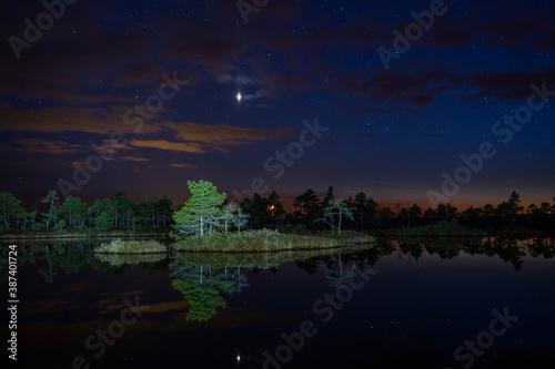 swamp lake at night with starry sky